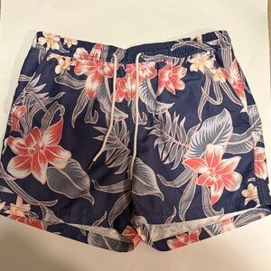 American Eagle Men’s Swim Trunks